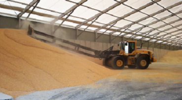 Almacenamiento de grano y cereales